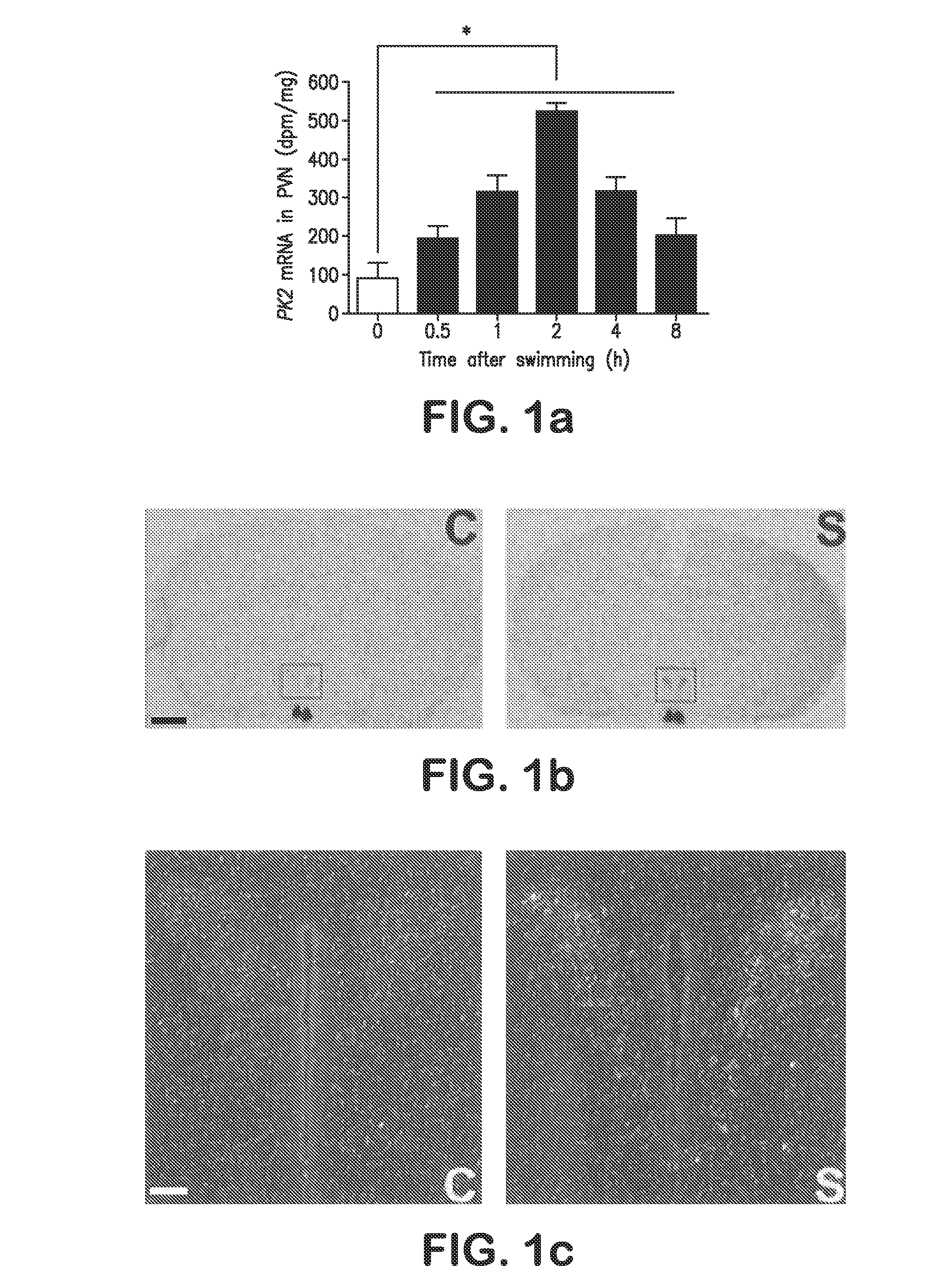 Methods of Modulating Prokineticin 2 for Treatment of Stress Response and Anxiety-Related Disorders
