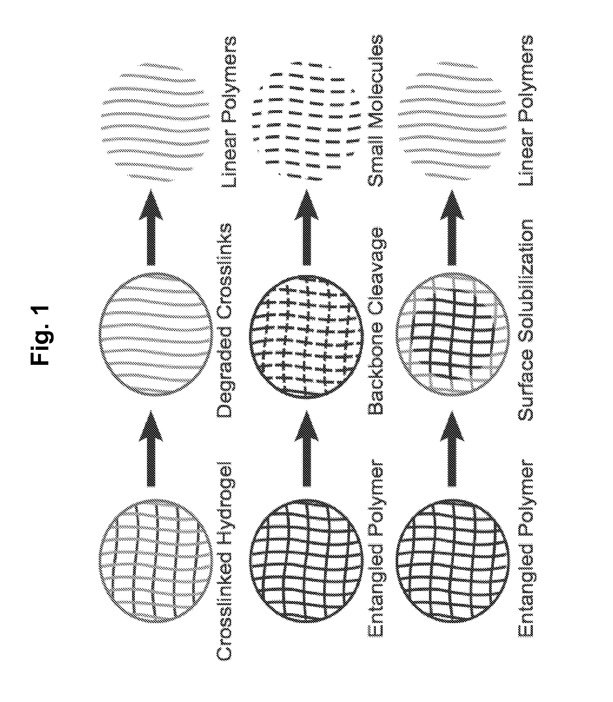 Acid-Degradable and Bioerodible Modified Polyhydroxylated Materials