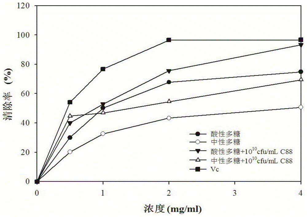 Lactobacillus-ginseng polysaccharide composition and its preparation method and use