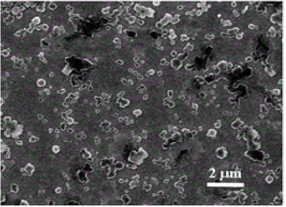 Iron carbon-based composite porous material catalyst and preparation method and application thereof