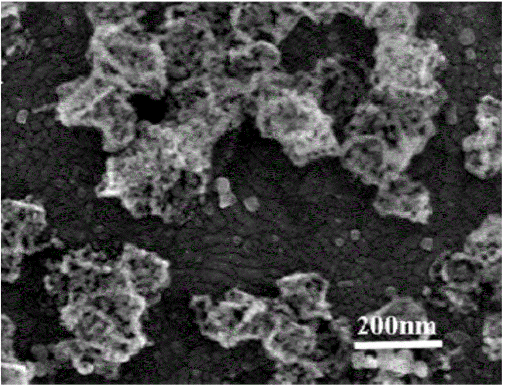 Iron carbon-based composite porous material catalyst and preparation method and application thereof