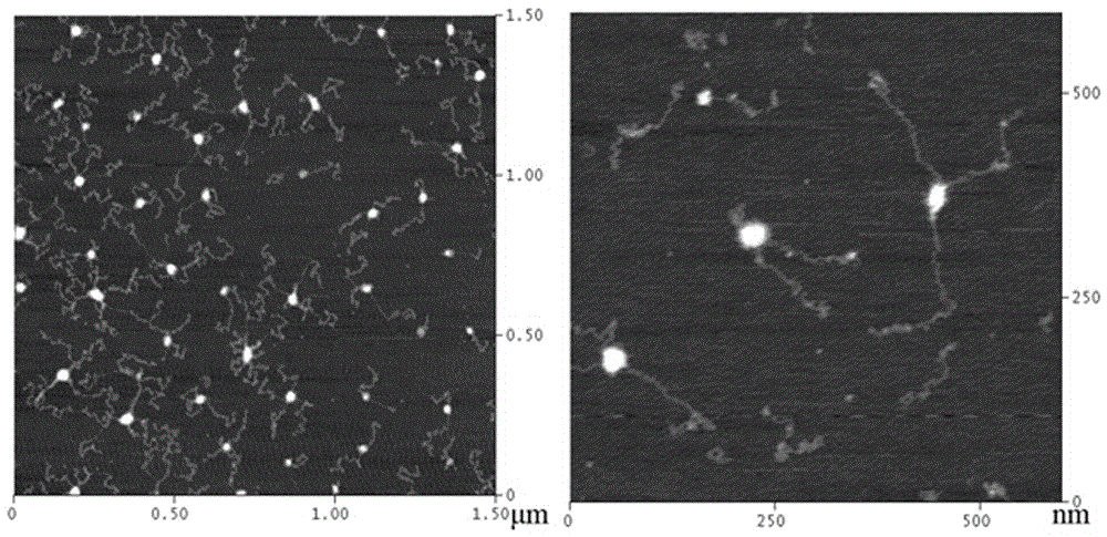 Preparation method of polymethyl methacrylate macromolecule extended chain