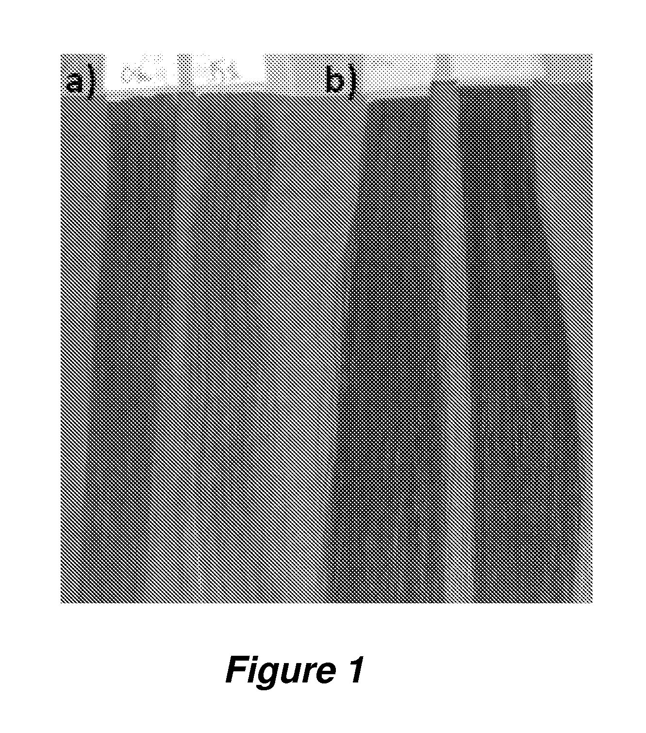 Coloring agents and methods of use thereof