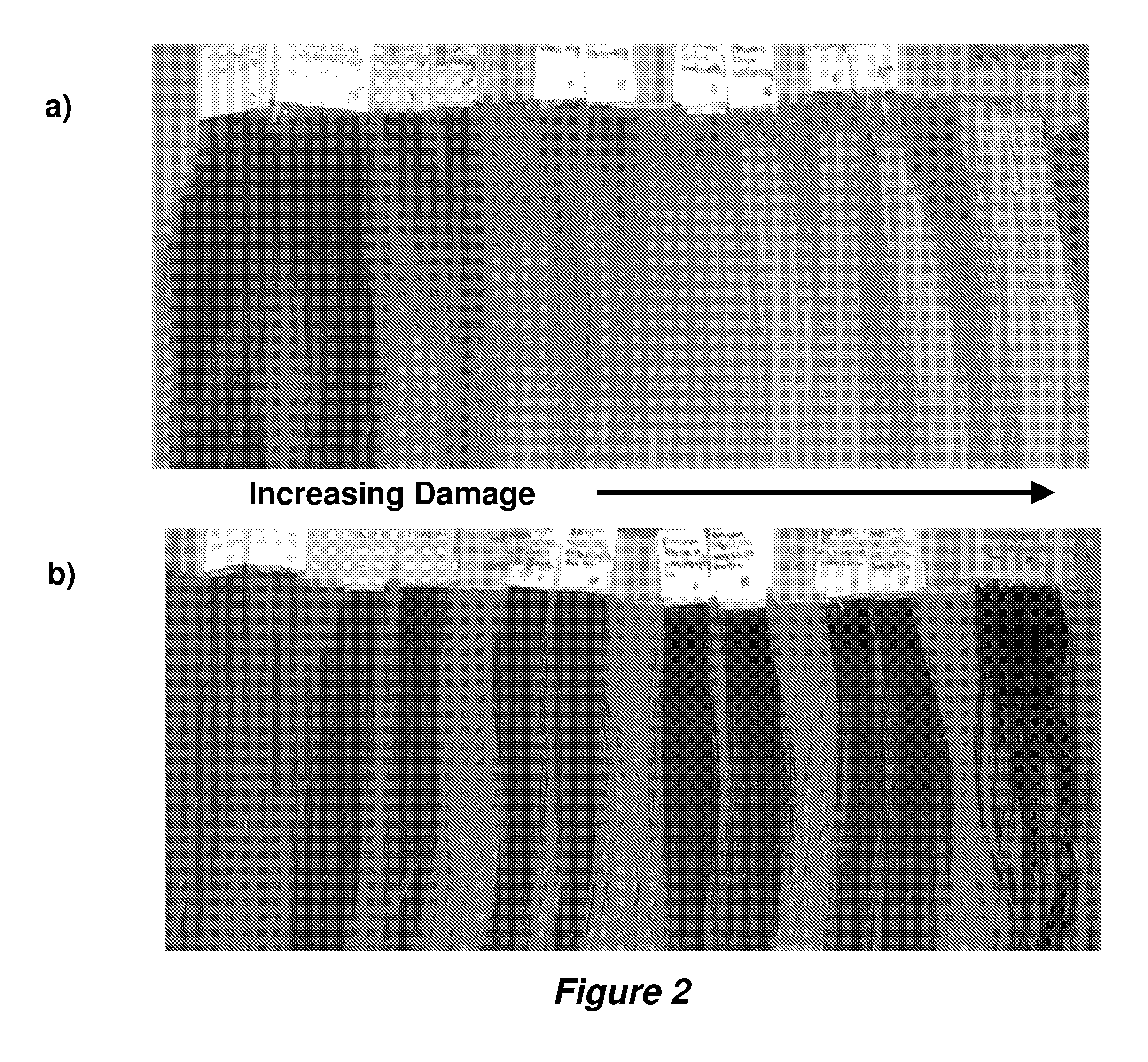 Coloring agents and methods of use thereof