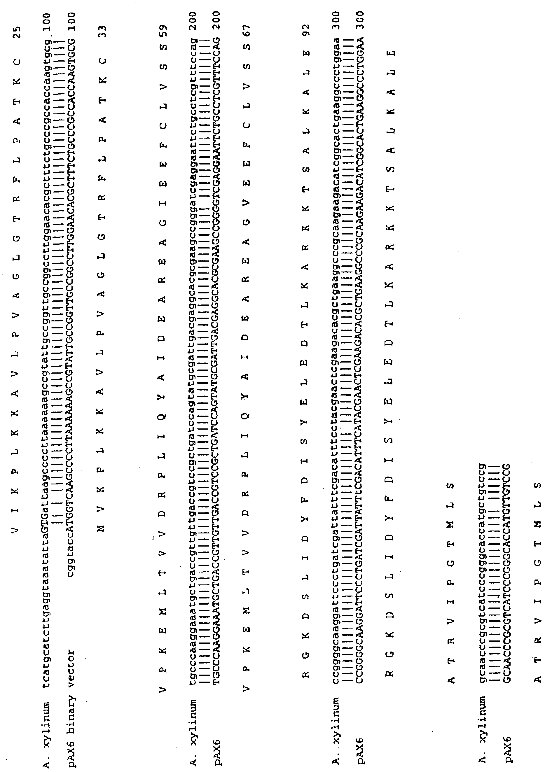 Method for promoting plant growth and increasing cellulose content and/or yield