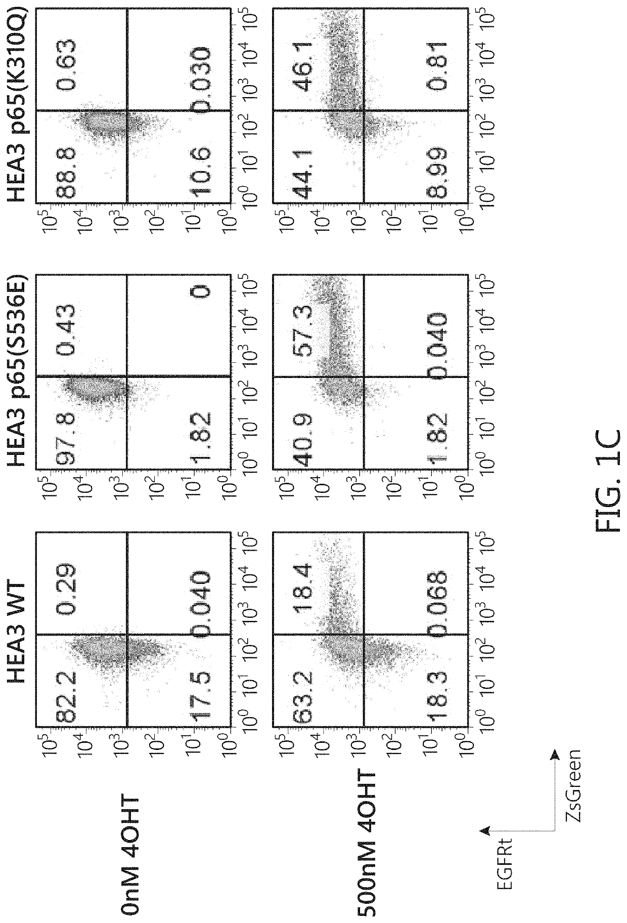 Chimeric transcription factor variants with augmented sensitivity to drug ligand induction of transgene expression in mammalian cells