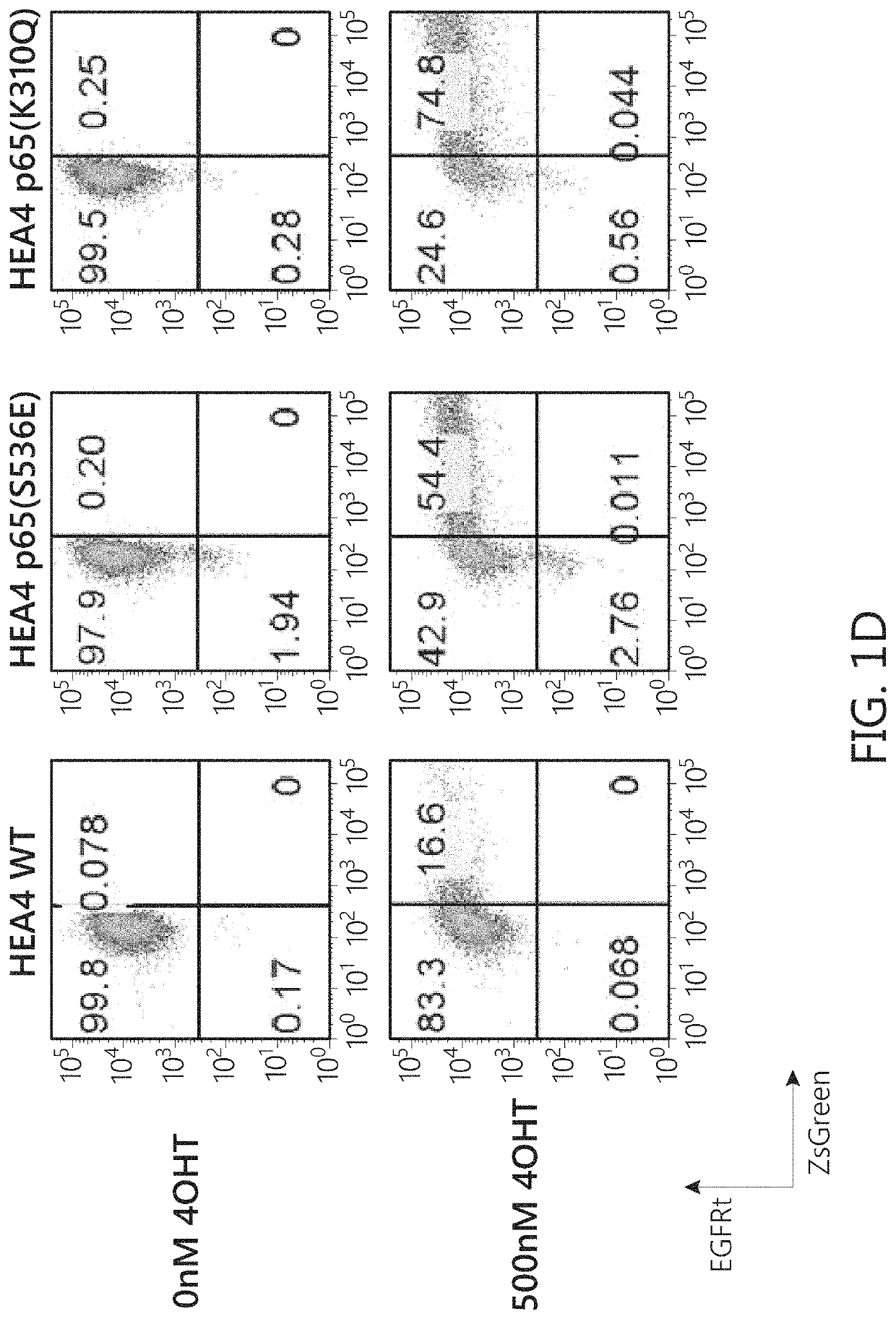 Chimeric transcription factor variants with augmented sensitivity to drug ligand induction of transgene expression in mammalian cells