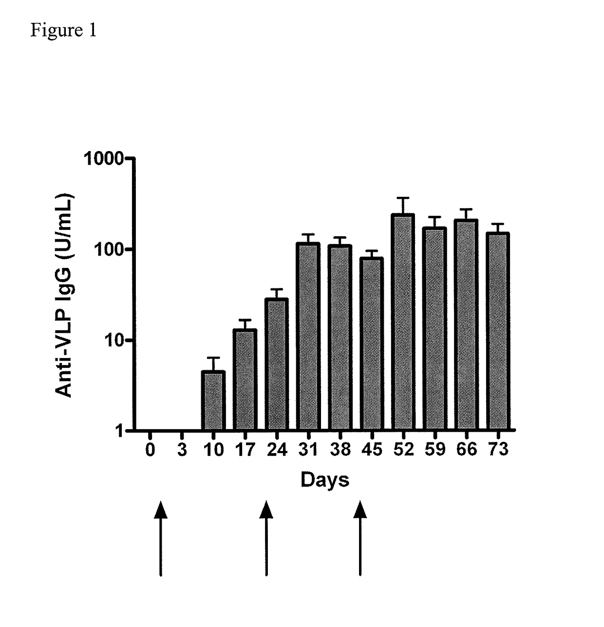 Method of conferring a protective immune response to norovirus