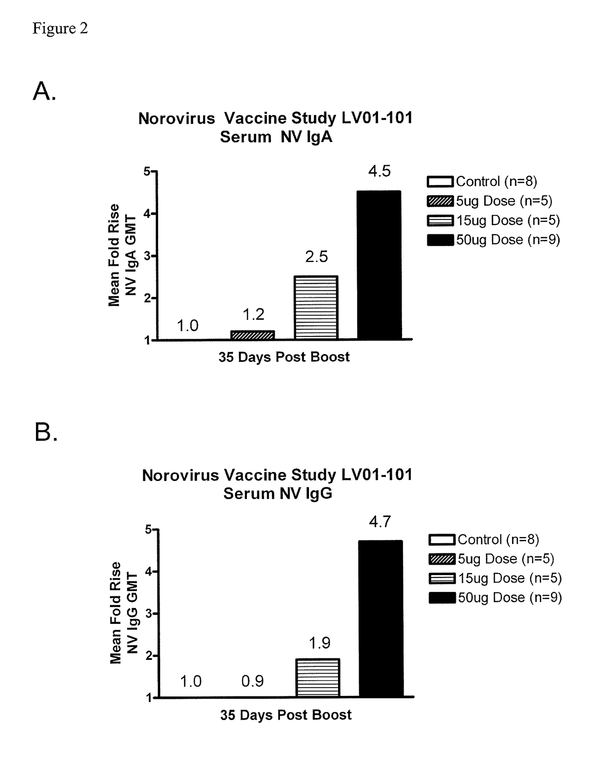 Method of conferring a protective immune response to norovirus