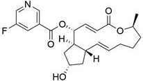 Application of brefeldin A ester derivative in antitumor drug