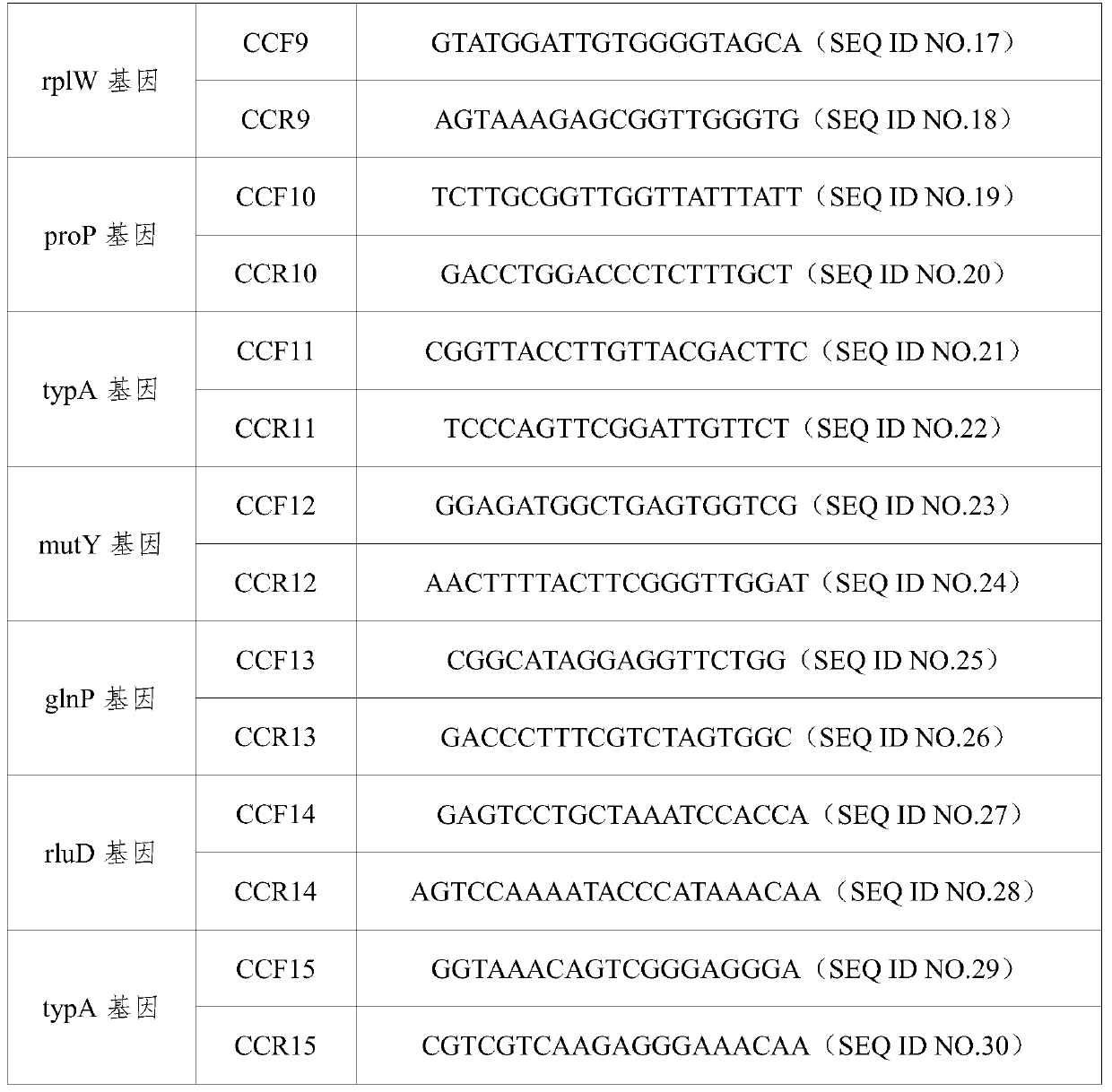 A primer and method for rapid typing of Campylobacter coli