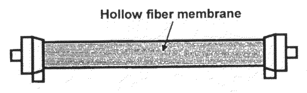 Separation Membrane for Use in Treatment of Liquid Comprising Aromatic Ether Polymer Hydrophilized with Hydrophilizing Agent