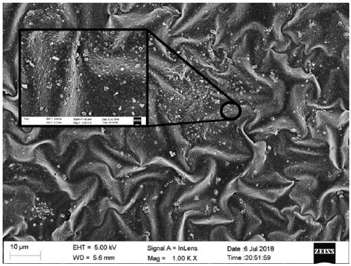 Electrodeposition sensor based on polypyrrole (PPy)/metal porphyrin and preparation method and application of electrodeposition sensor