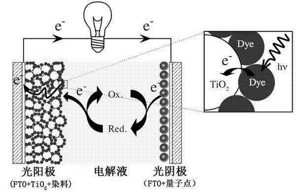 Quantum dot and dye co-sensitization solar battery and preparation method thereof