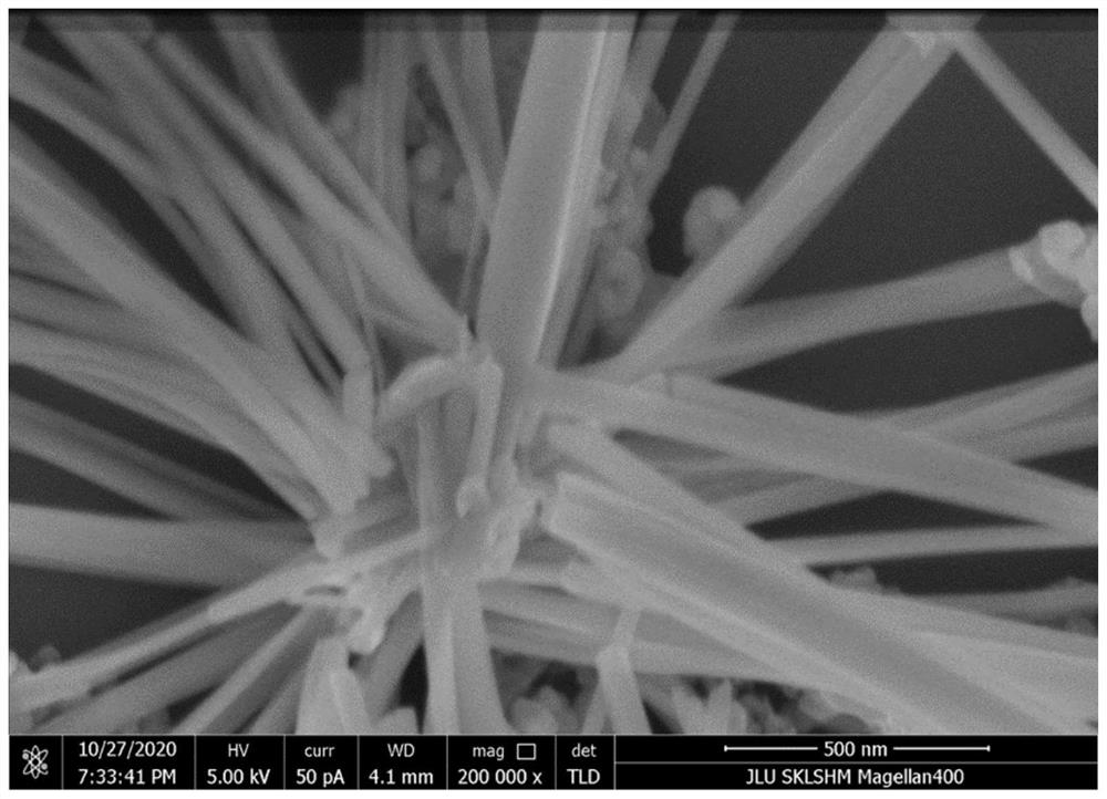 Preparation method of titanium selenide nanowire