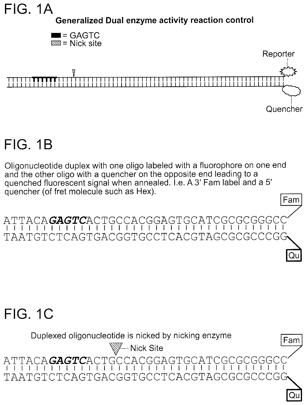 Compositions and methods for detecting nicking enzyme and polymerase activity using a substrate molecule