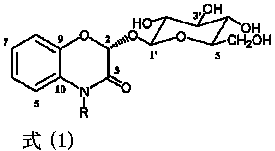 Method for separating benzoxazole oxazinone glycoside compounds from acanthus