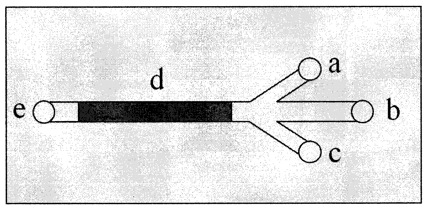 Microfluidic chip for multi-cell cocultivation and preparation method thereof