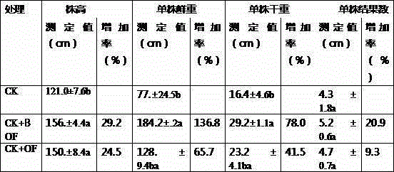 Microbial organic fertilizer for preventing bacterial wilt as well as preparation method and application thereof