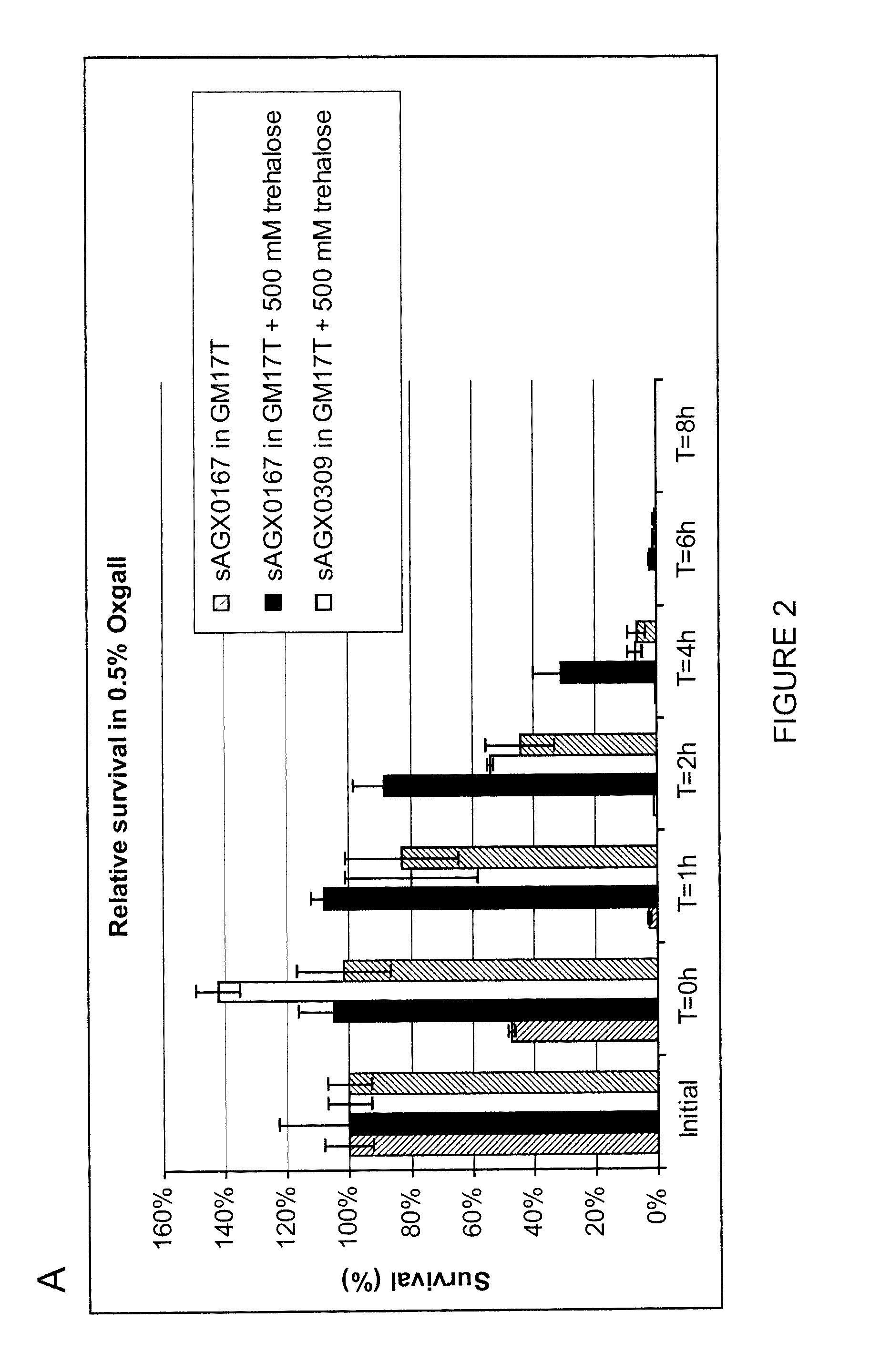Modified gram positive bacteria and uses thereof