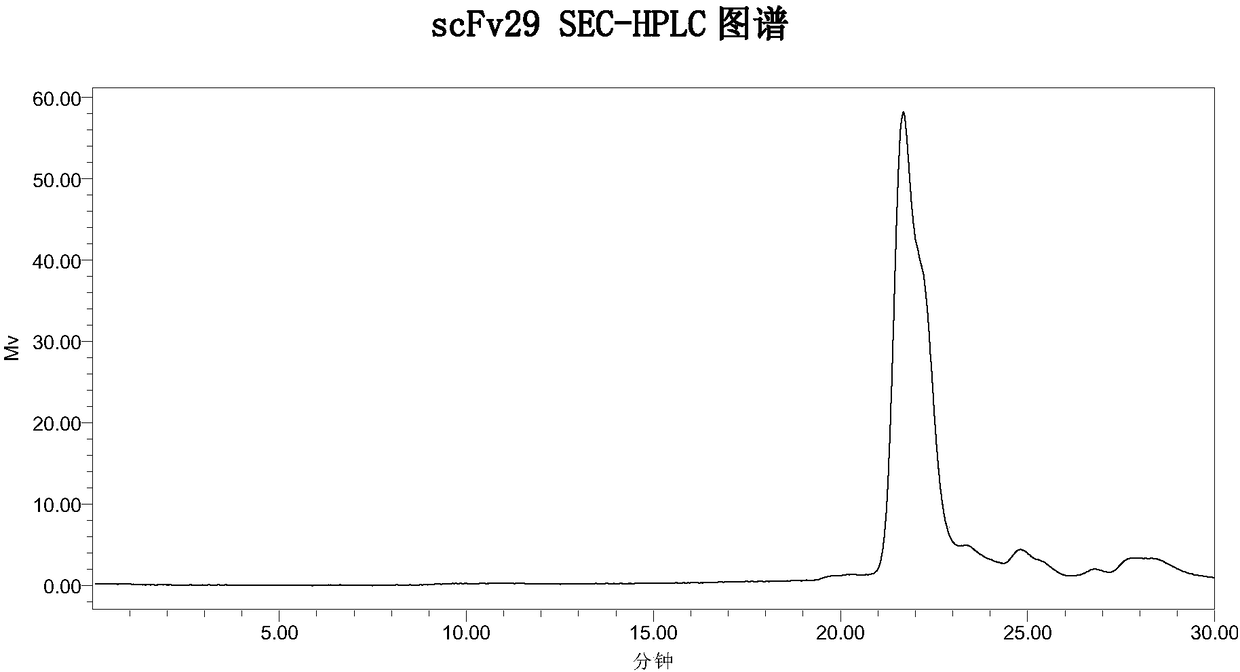 Two scFv antibodies and coding genes thereof, and application of scFv antibodies to preparations for treatment or prevention of infectious bursal disease of chicken