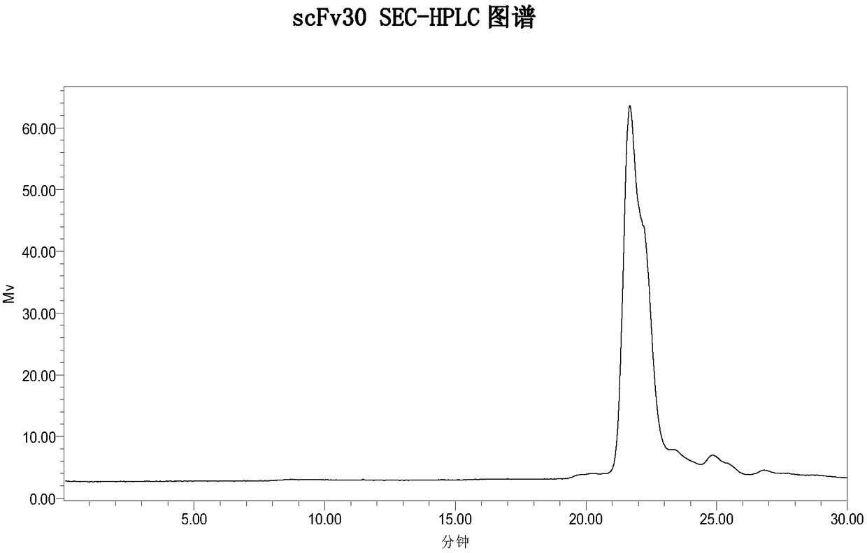 Two scFv antibodies and coding genes thereof, and application of scFv antibodies to preparations for treatment or prevention of infectious bursal disease of chicken