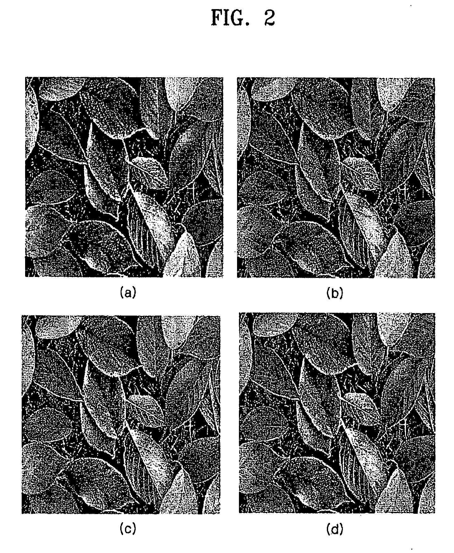 Apparatus for Encoding and Decoding Image and Method Thereof