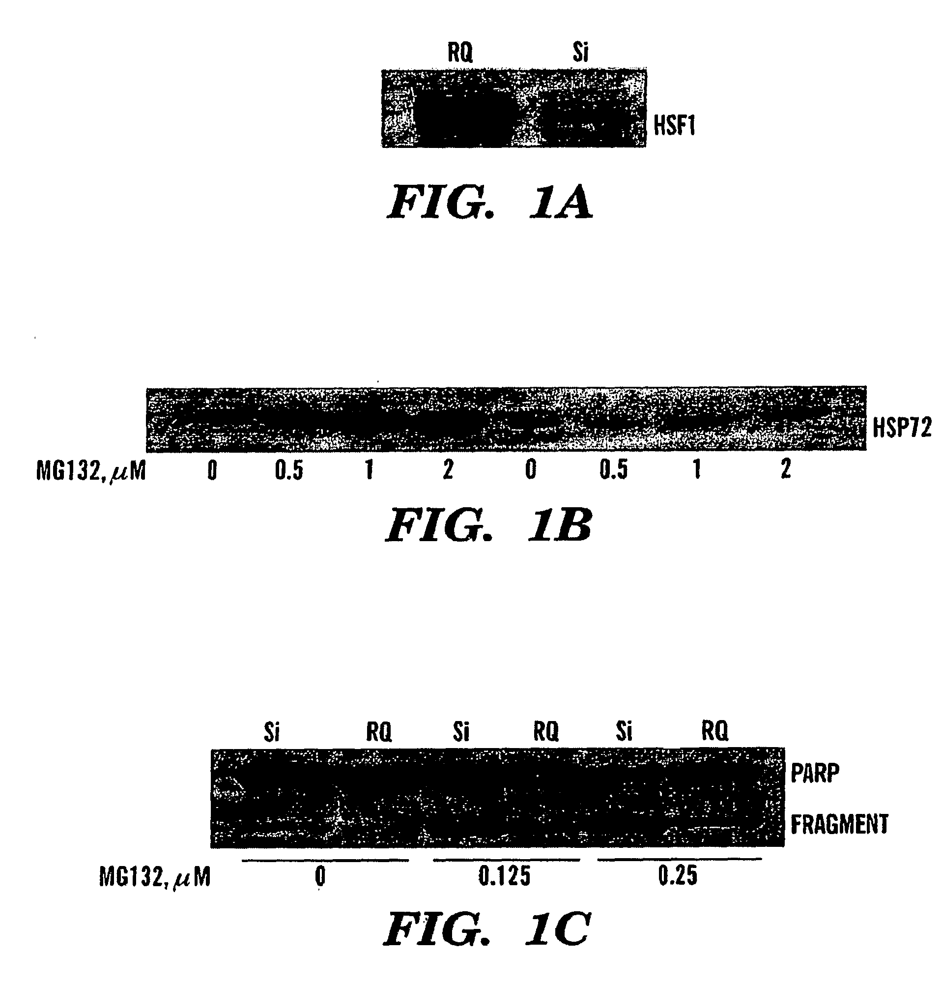 Methods for Sensitizing Cancer Cells to Inhibitors