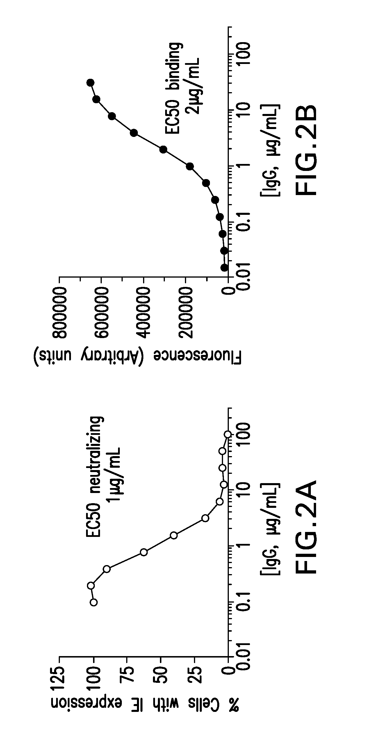 Cmv neutralizing antigen binding proteins