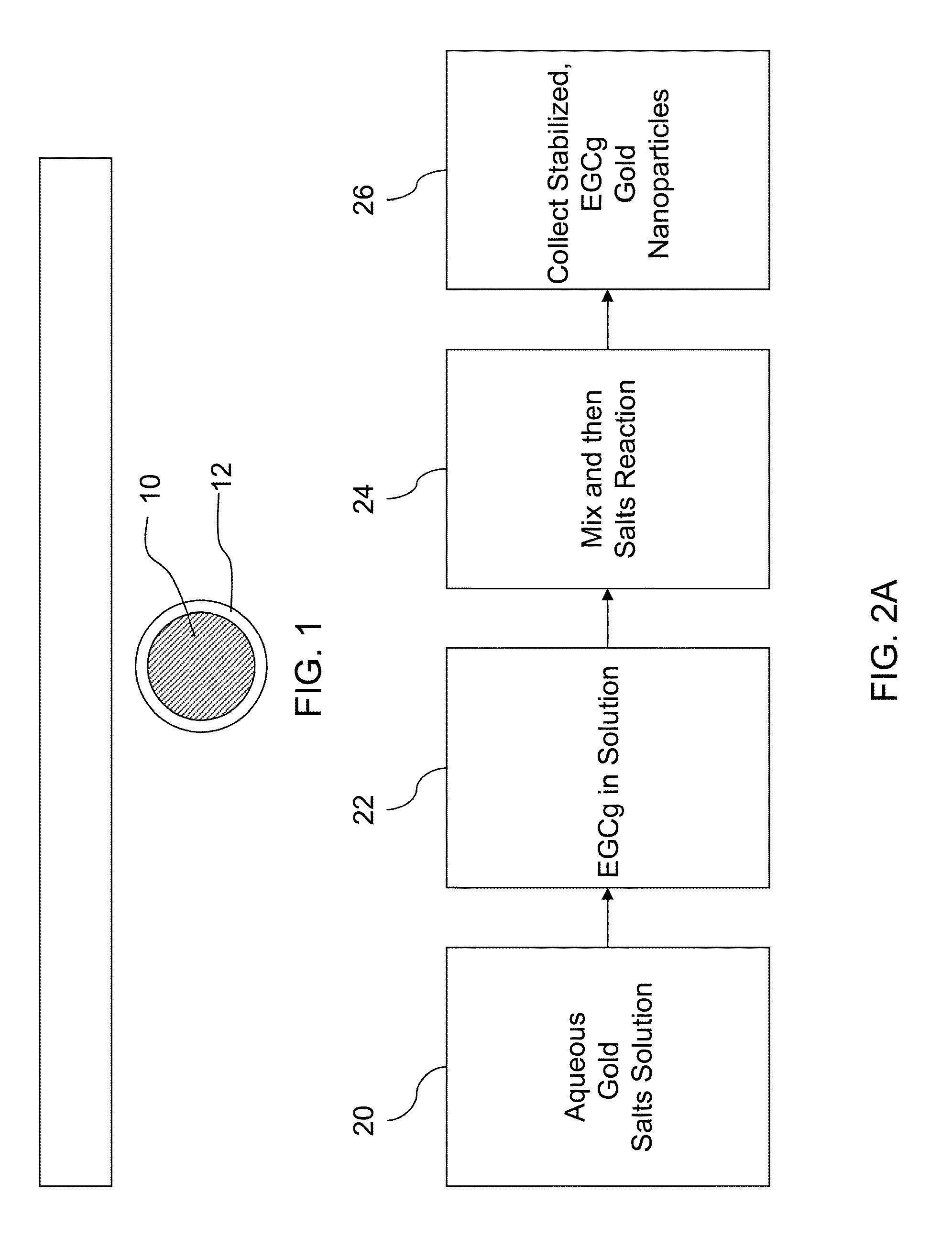 Egcg stabilized gold nanoparticles and method for making same
