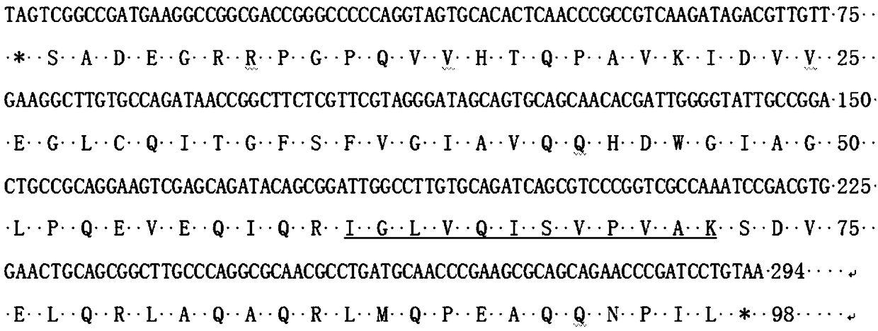 Coding gene of Mycobacterium tuberculosis H37Rv and use thereof