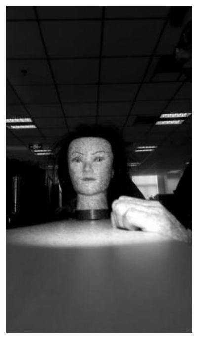 A speckle-based 3D face reconstruction method and device