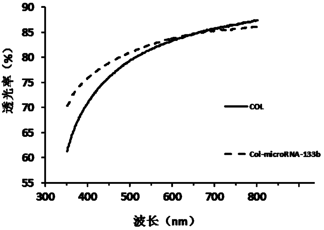 A kind of corneal repair material with stroma repair ability and preparation method thereof