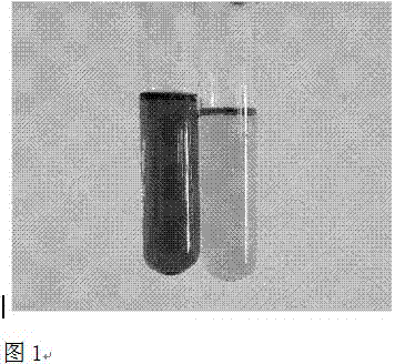 Ginseng growth-promoting bacteria fy4-2 and its application