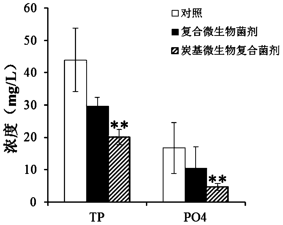 Charcoal-based microbial compound bacterial powder, bacterial agent as well as preparation method and application of charcoal-based microbial compound bacterial agent