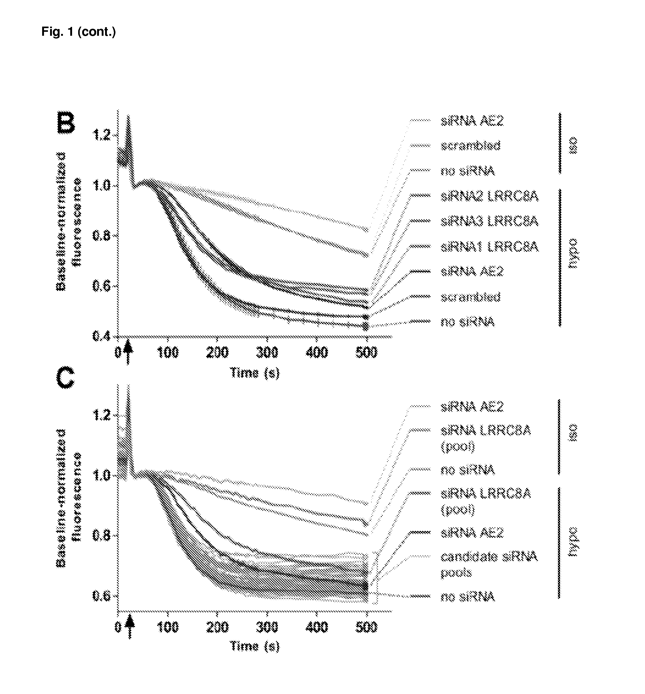 Lrrc8 proteins and protein complexes and methods for identification of channel modulators