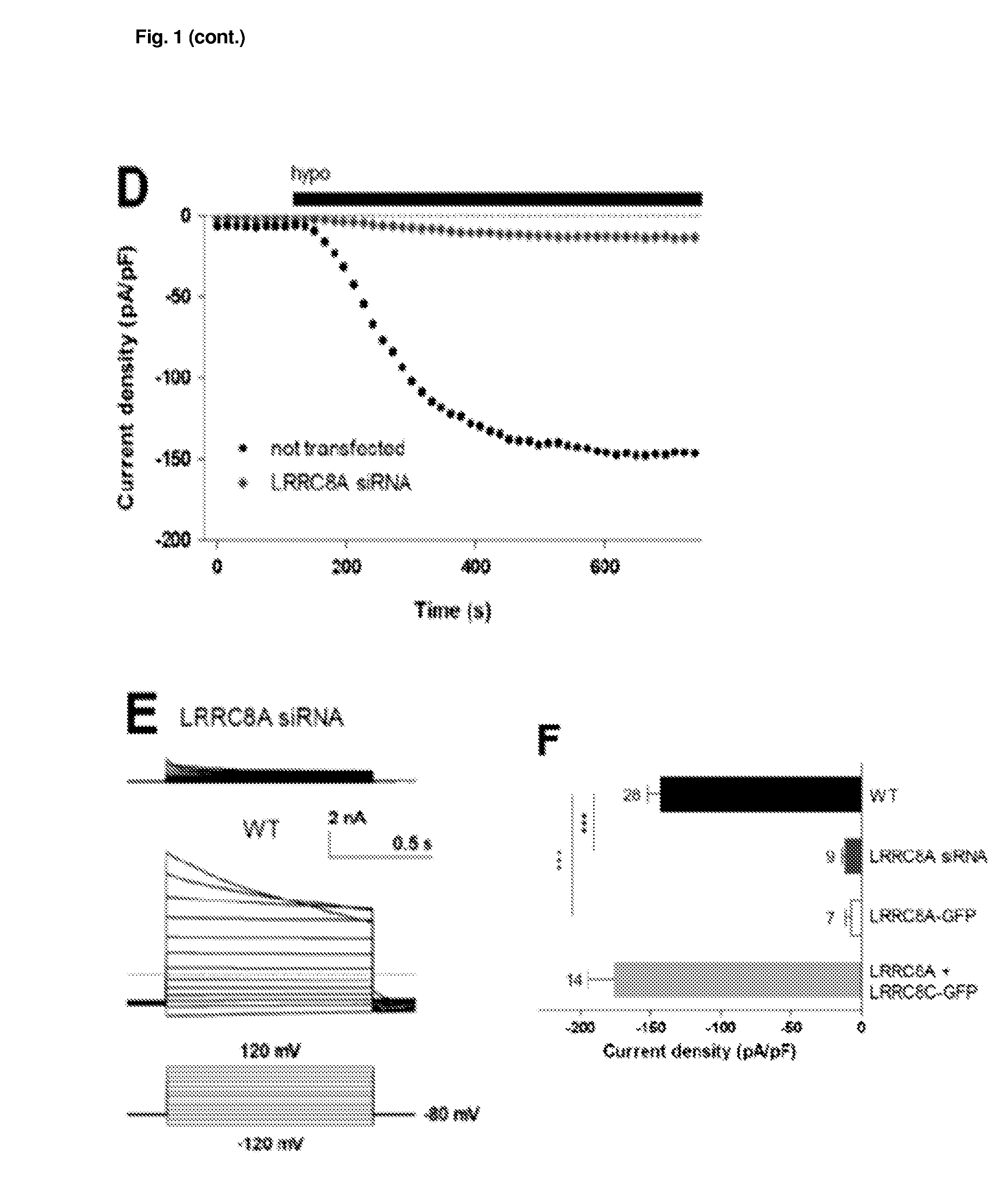 Lrrc8 proteins and protein complexes and methods for identification of channel modulators