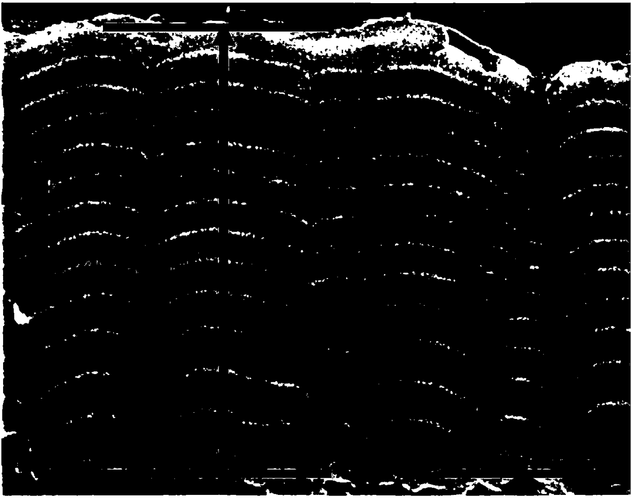 Nano multilayered silicon nitride ceramic coating and preparation method and application thereof