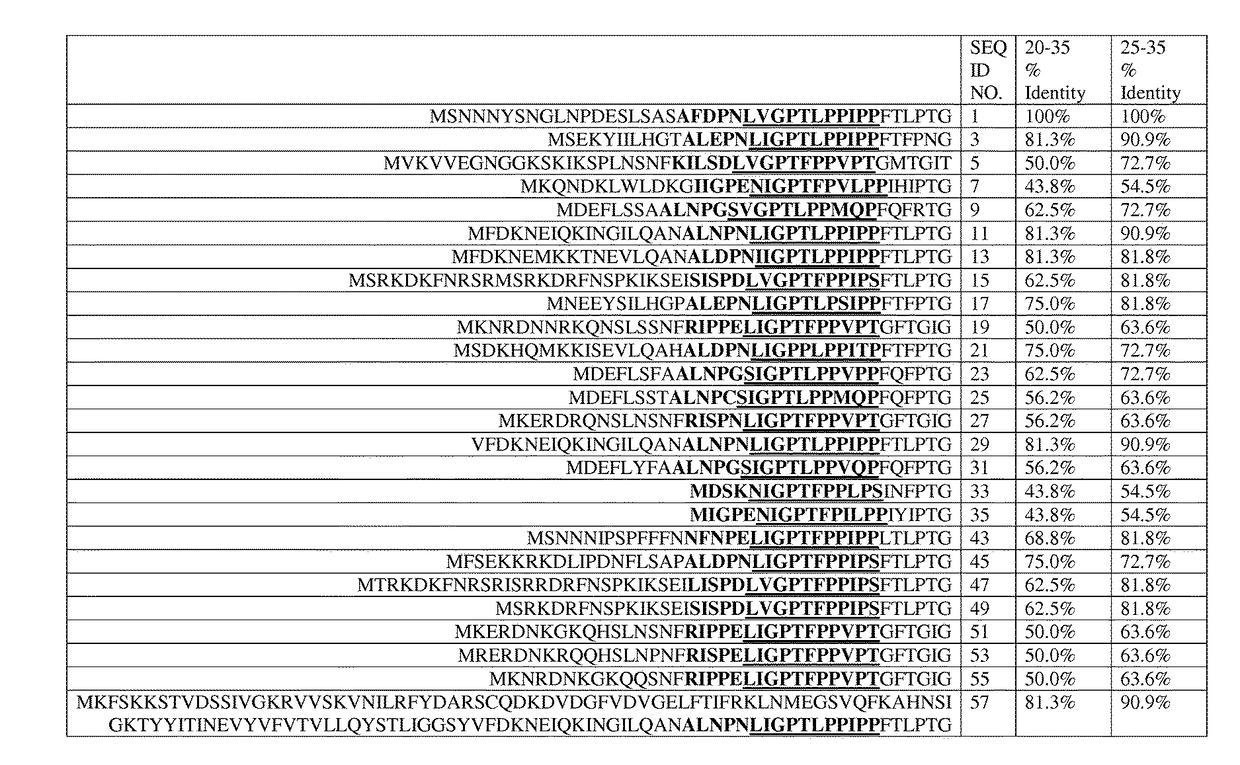 Compositions comprising recombinant bacillus cells and another biological control agent