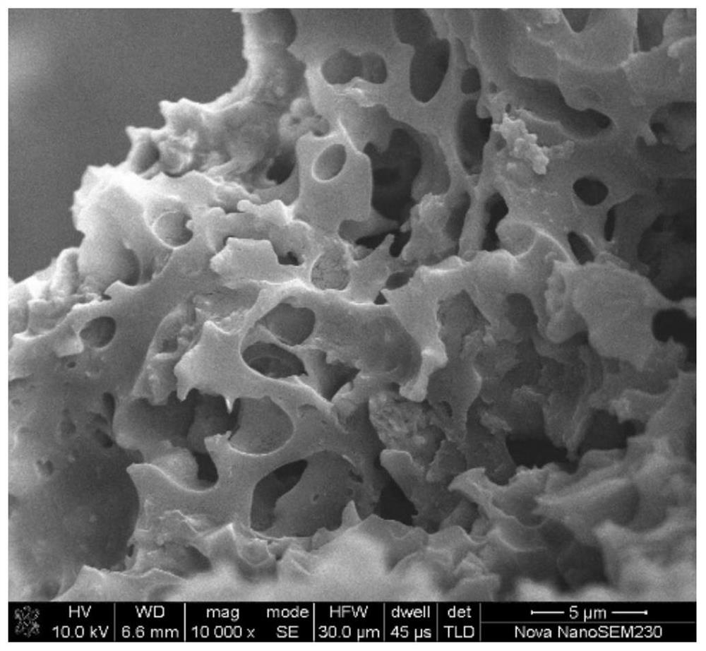 A kind of preparation method of porous carbon matrix composite material
