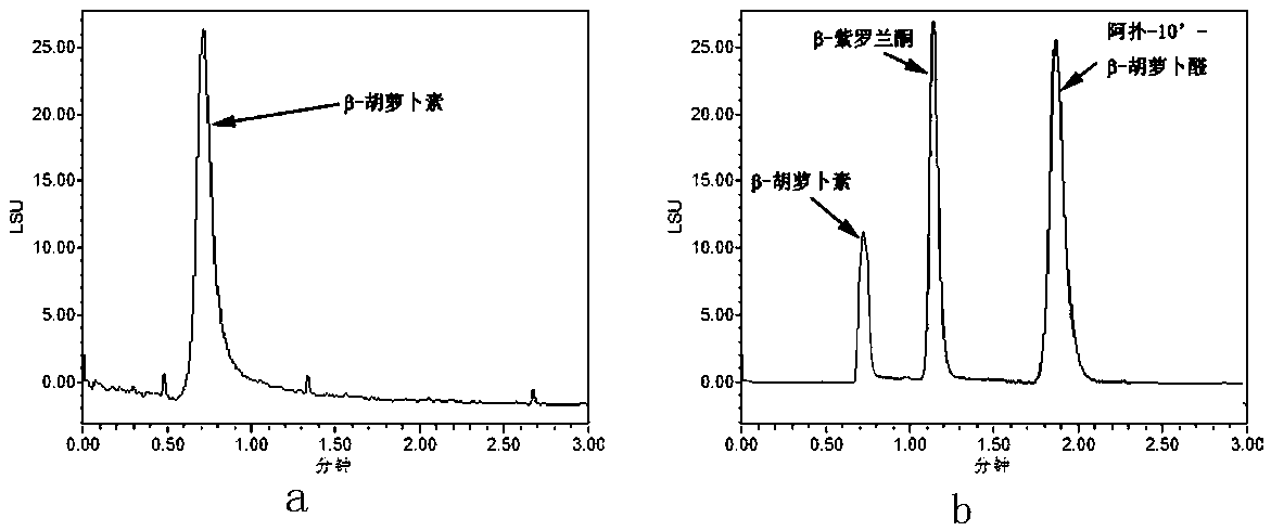 A kind of preparation method and application of carotenoid 9, 10' dioxygenase