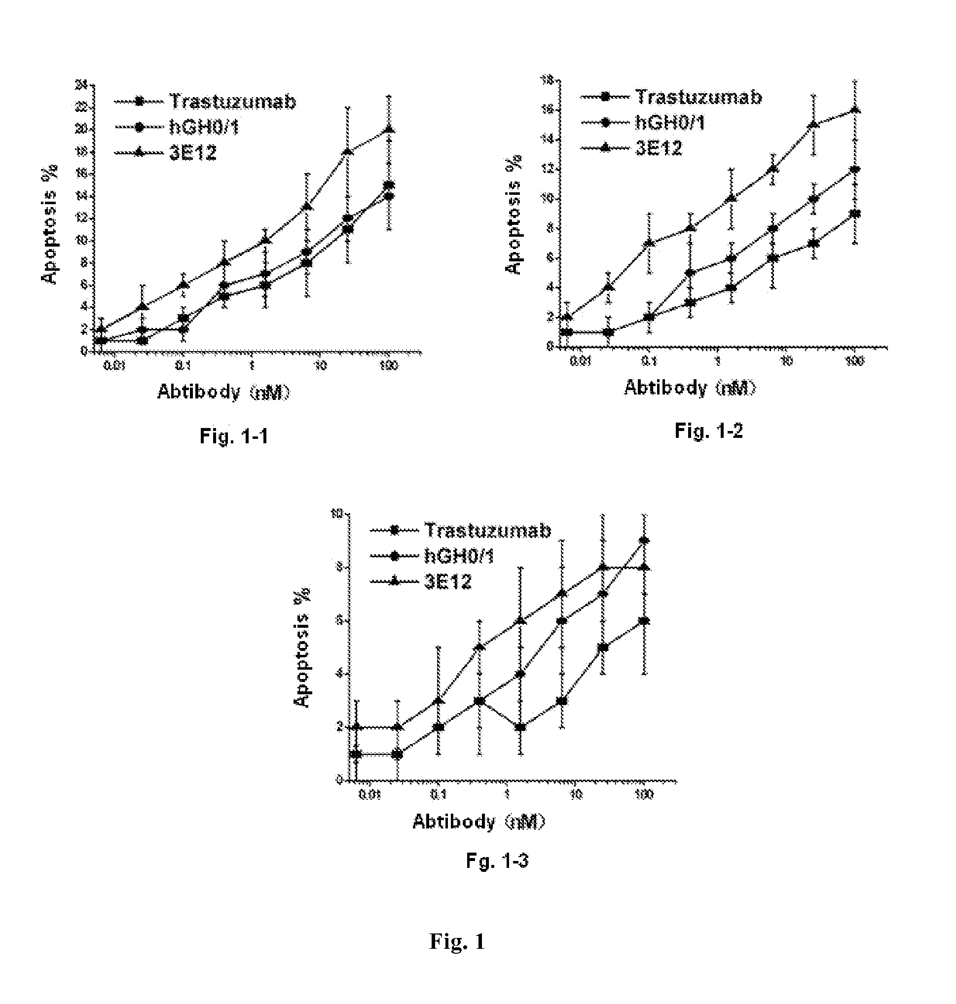 Fully humanized Anti-her2 antibody, preparation method and use thereof