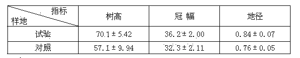 Camellia oleifera forest ecological conservation composite cultivation mode