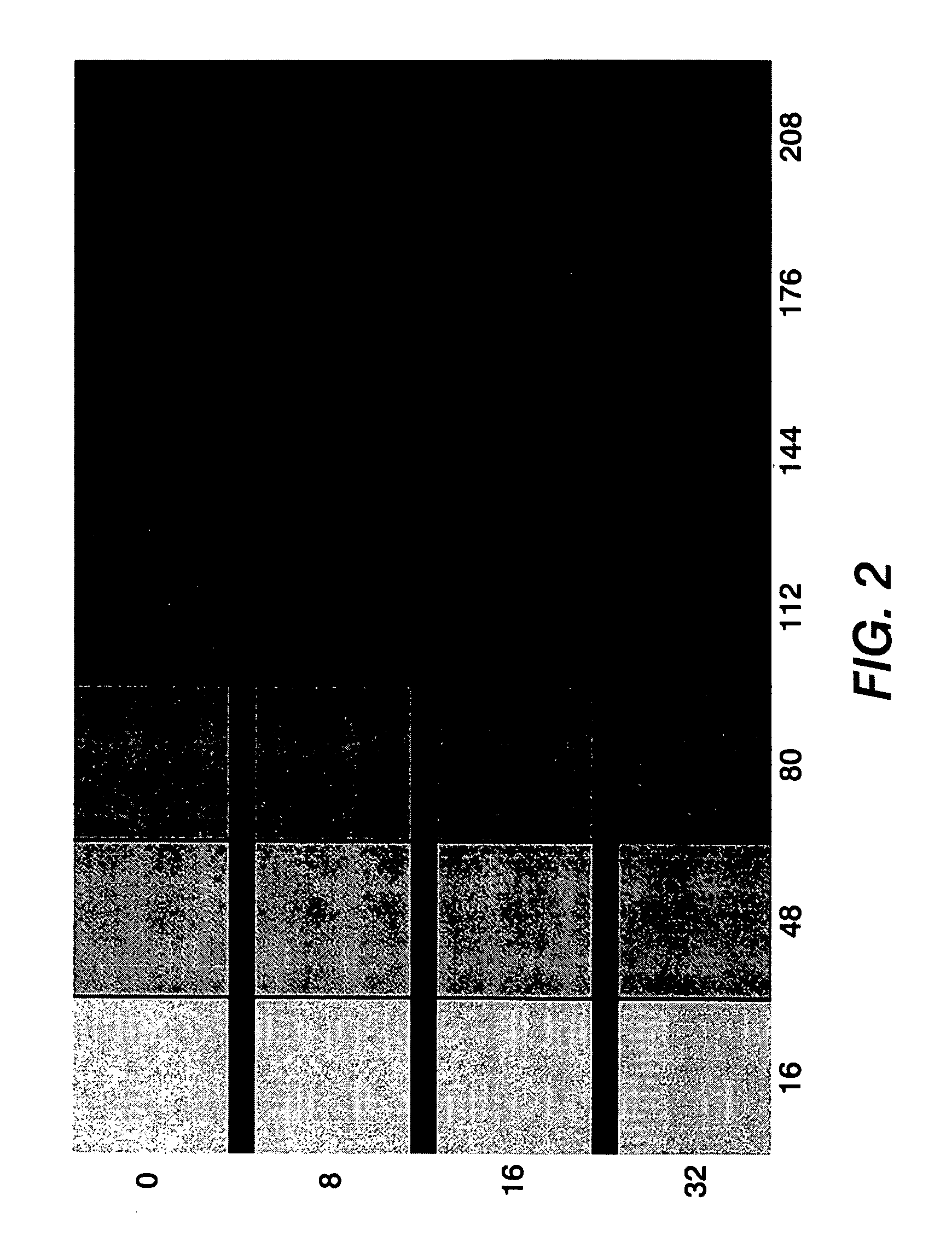 Systems and methods for controlling a tone reproduction curve using error diffusion