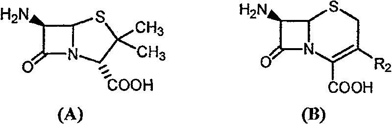 Method for enzymatically synthesizing beta-lactam antibiotic in mixed system of water and organic medium