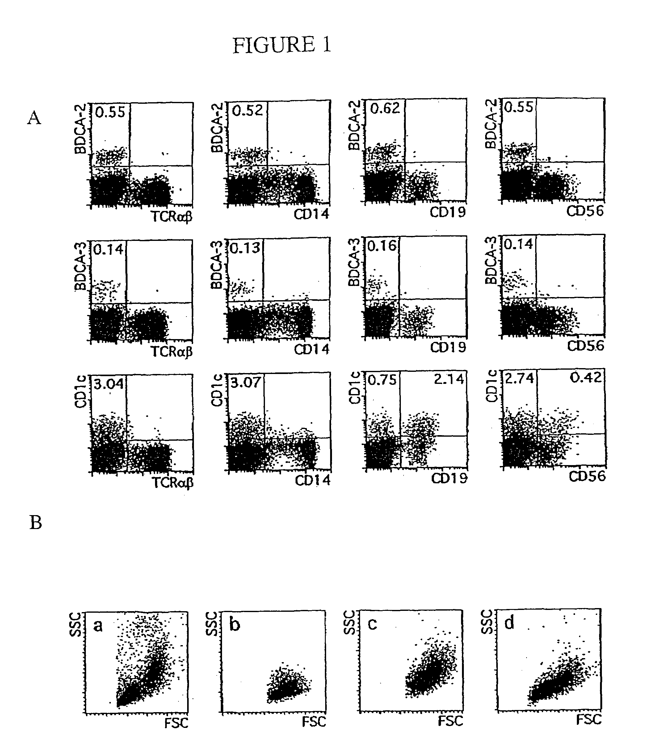 Antigen-binding fragments specific for dendritic cells, compositions and methods of use thereof antigens recognized thereby and cells obtained thereby