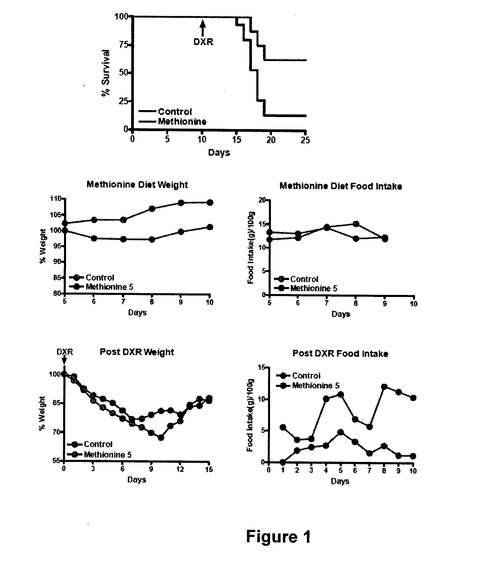 Dietary Compositions and Methods for Protection Against Chemotherapy, Radiotherapy, Oxidative Stress, and Aging