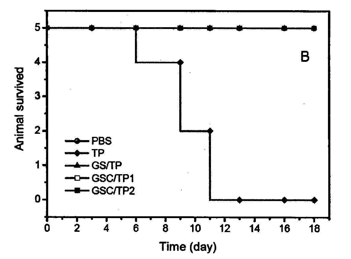 Multifunctional polyurethane medicament carrier as well as preparation method and application thereof