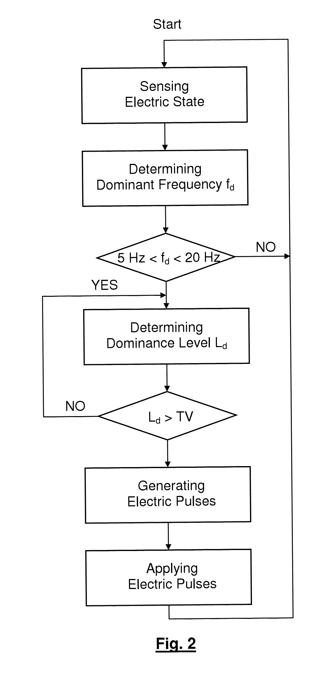 Apparatus for and method of terminating a high frequency arrhythmic electric state of a biological tissue