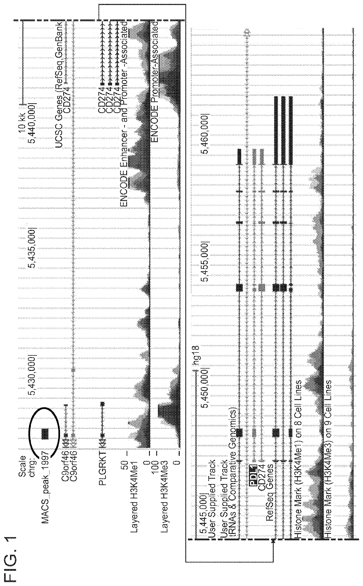 Enhanced immunotherapy of cancer using targeted transcriptional modulators